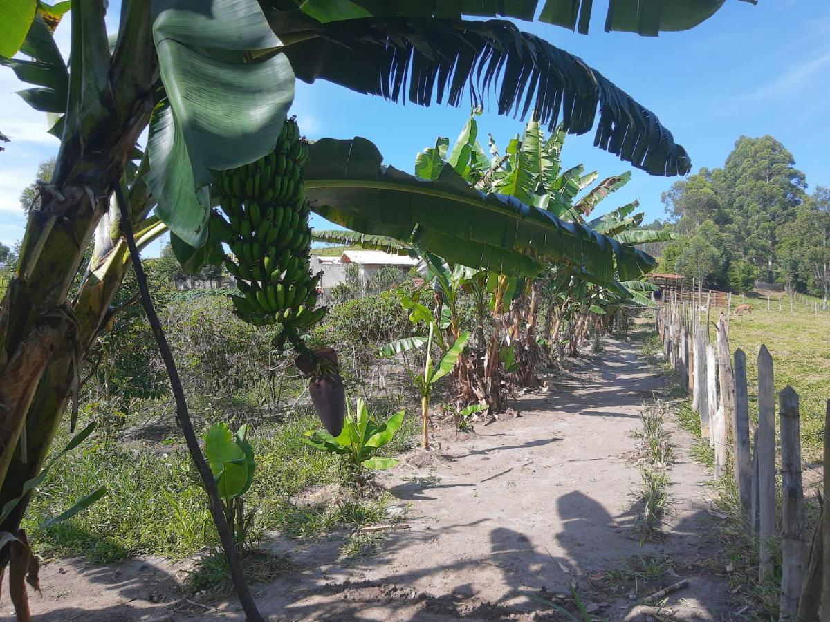 Pousada Roseira Lagoinha Sp Kültér fotó