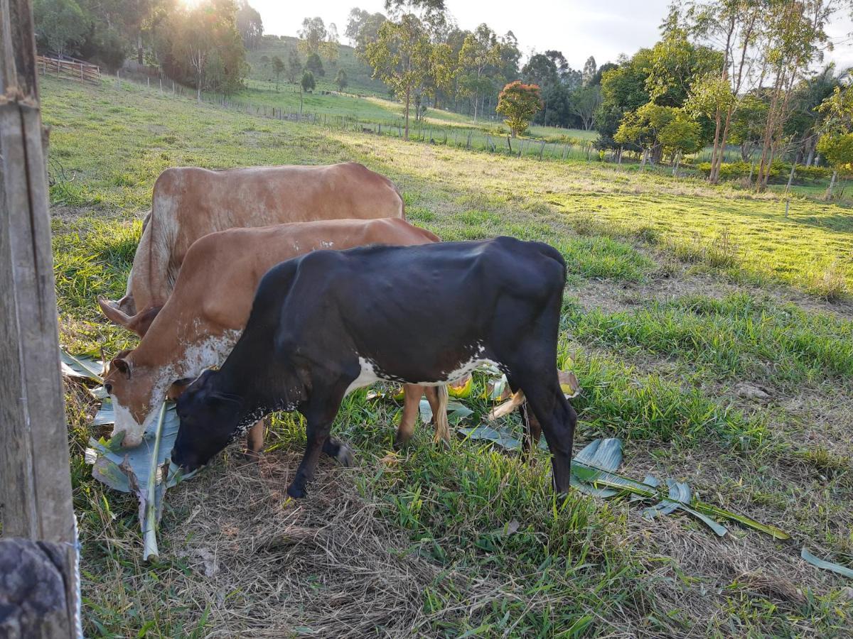 Pousada Roseira Lagoinha Sp Kültér fotó