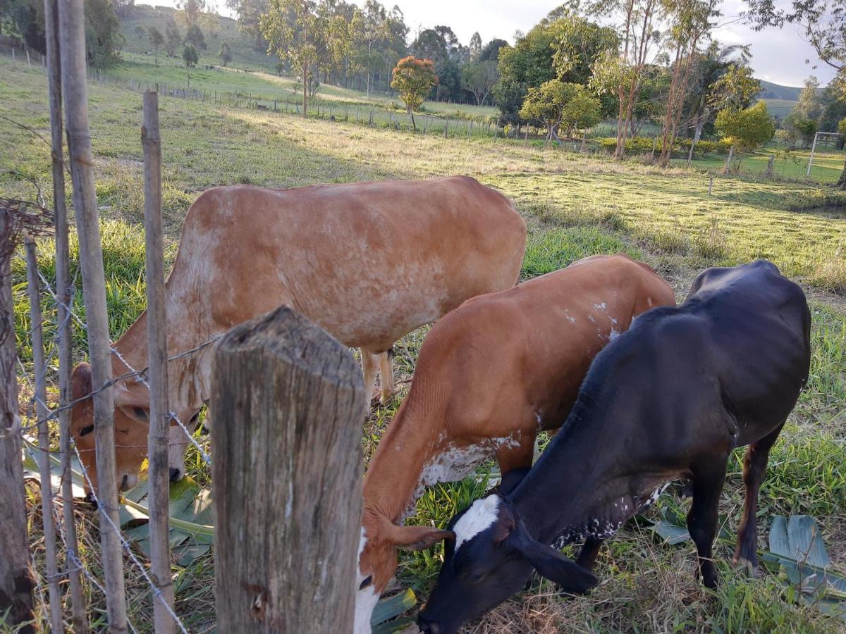 Pousada Roseira Lagoinha Sp Kültér fotó